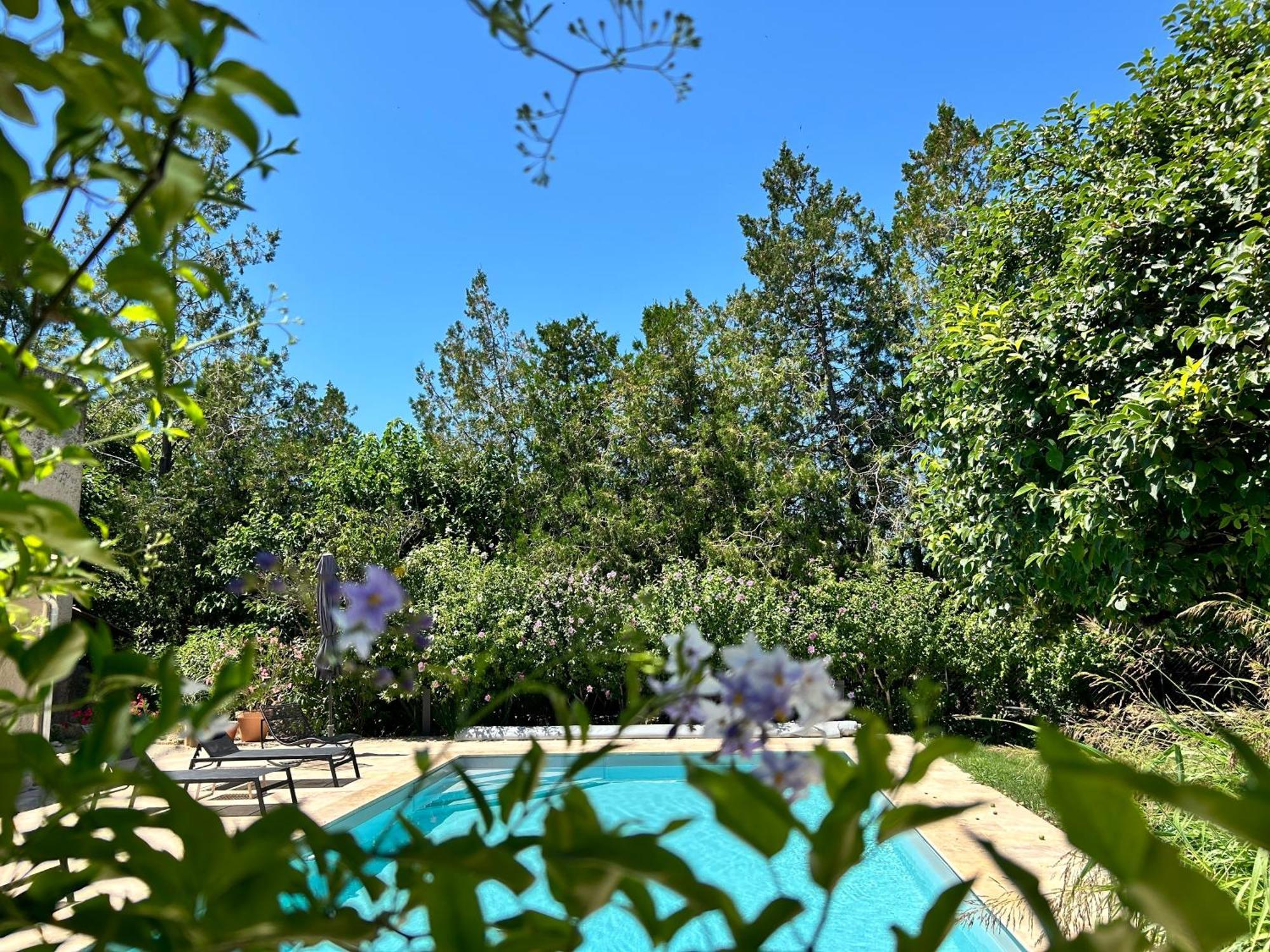 Provenzalisches Landhaus Les Martinets Am Fusse Des Mont Ventoux Villes-sur-Auzon Buitenkant foto